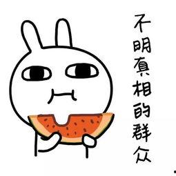 吃瓜违规提醒照片,照片背后的警示与反思