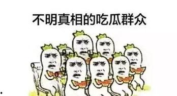 吃瓜群众daidai,揭秘娱乐圈幕后故事