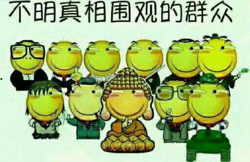 吃瓜群众hackers,揭秘“吃瓜群众”背后的黑客世界