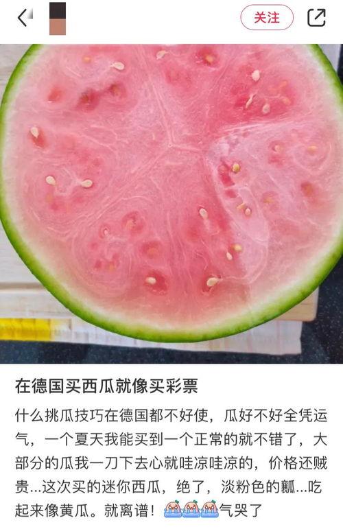吃瓜最多的国家,揭秘吃瓜最多的国家