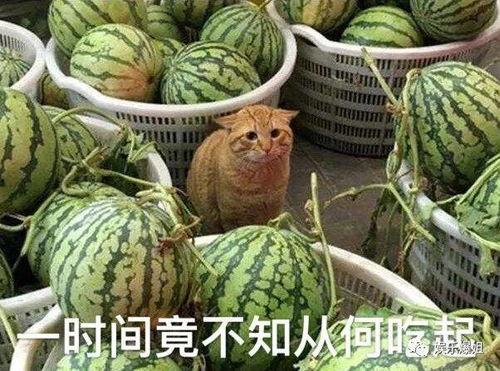 铁铁们吃瓜,揭秘娱乐圈那些不为人知的幕后故事