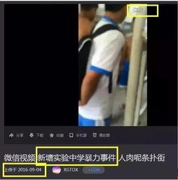 邳州靓仔吃瓜事件视频,一场网络热议的瓜田奇遇